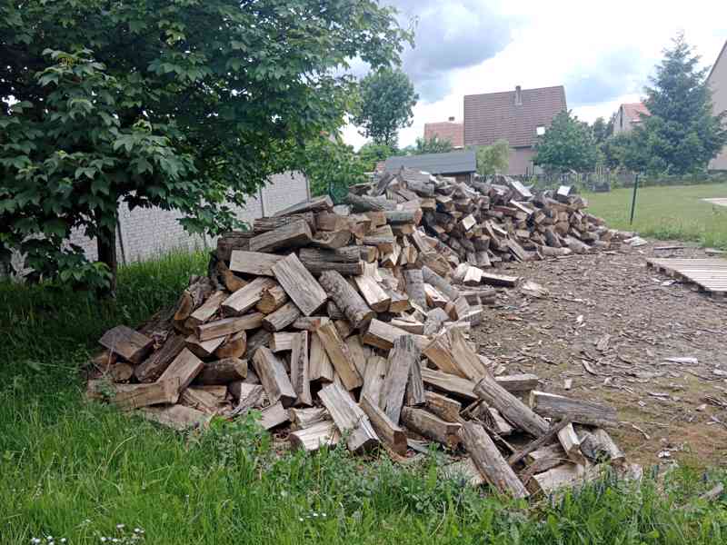 Palivové dřevo  - foto 5