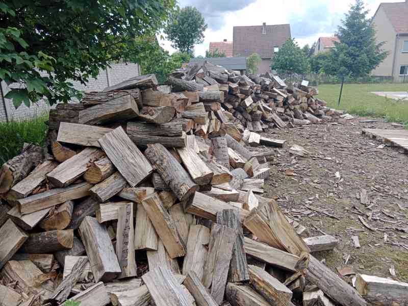 Palivové dřevo  - foto 4