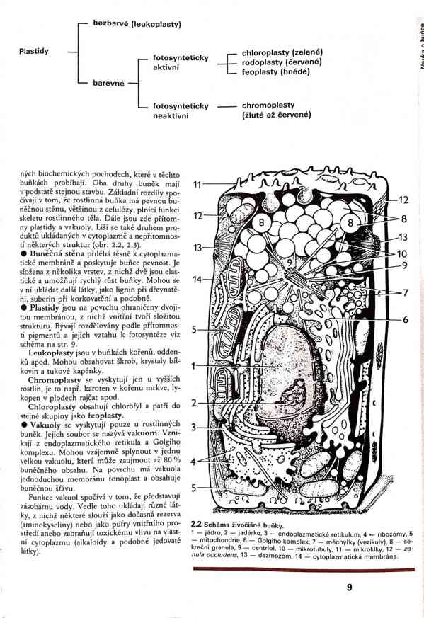 Skripta v PDF - foto 5