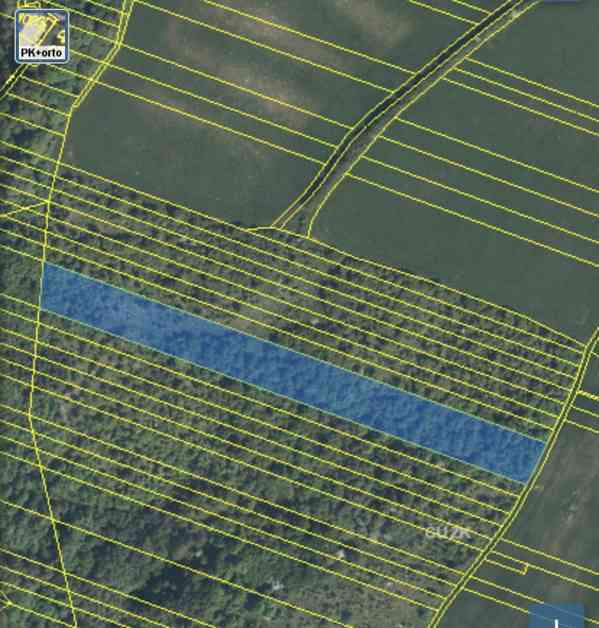 Lesní pozemek Šarovy - foto 13