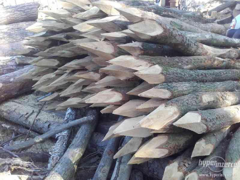 Dřevěné pastevní kůly - foto 2