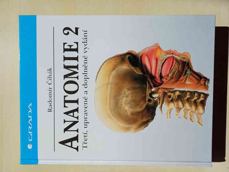 Anatomie Čihák - jako nová - foto 4