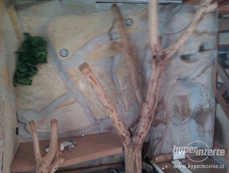 Prodám velké terárium - foto 3