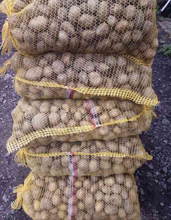 Pytle brambor 25 kg - foto 2