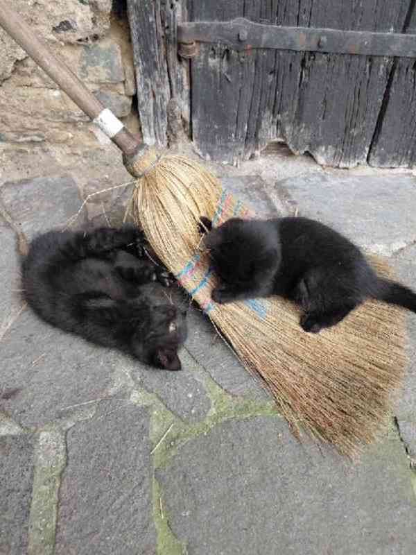 Pět čertíků z Vítkova - foto 4