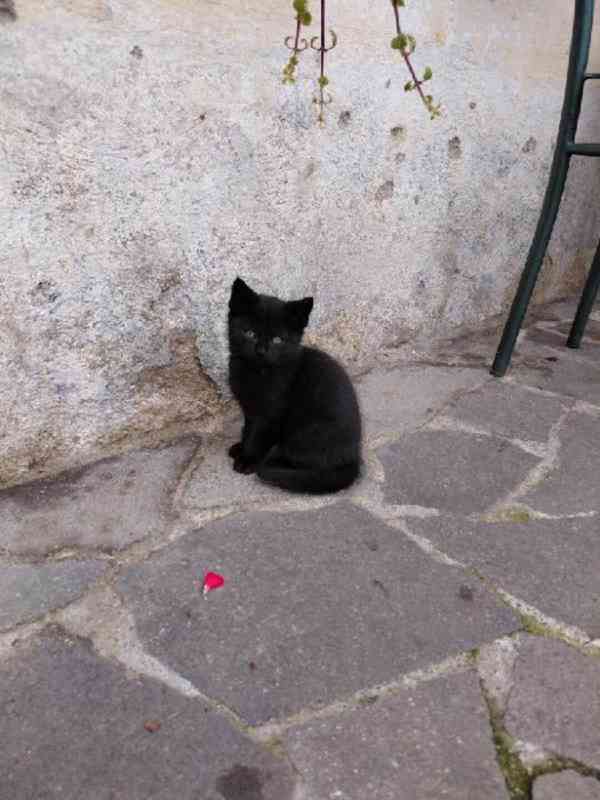 Pět čertíků z Vítkova - foto 3