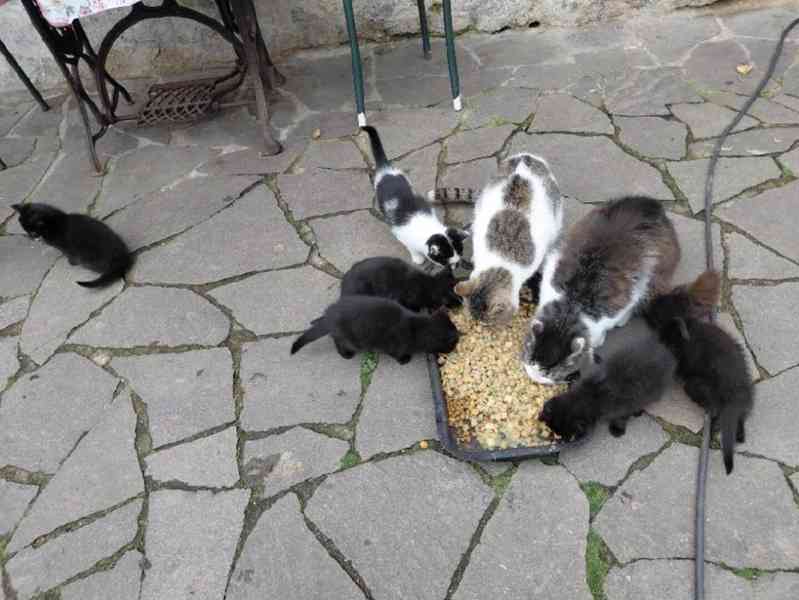 Pět čertíků z Vítkova - foto 2