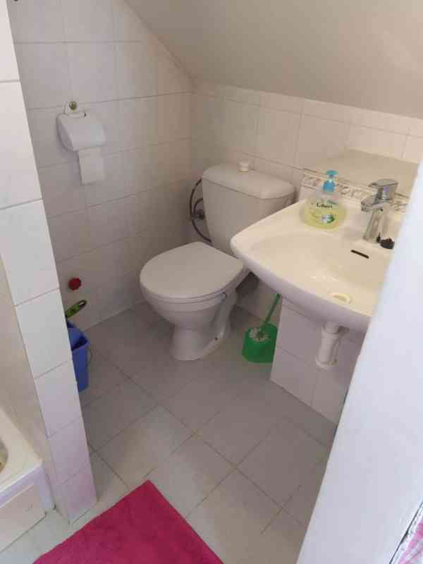 Pronájem bytu 1+1 atypický 45m2 - foto 8
