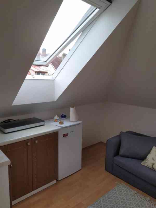 Pronájem bytu 1+1 atypický 45m2 - foto 3