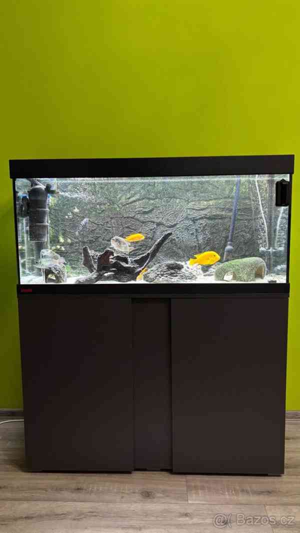 Akvárium - foto 14