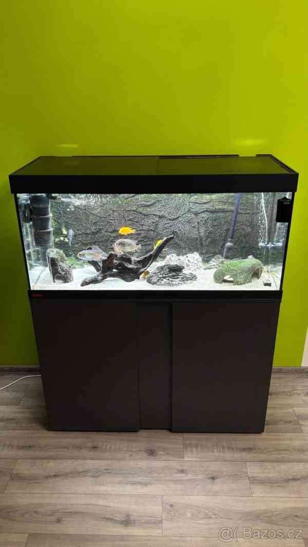 Akvárium - foto 13