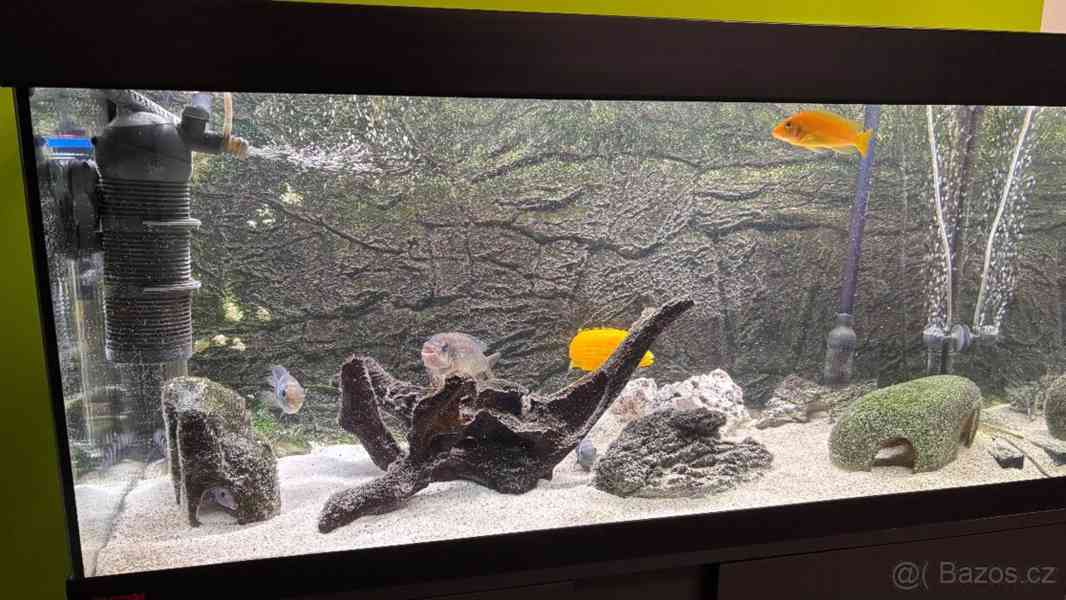Akvárium - foto 9