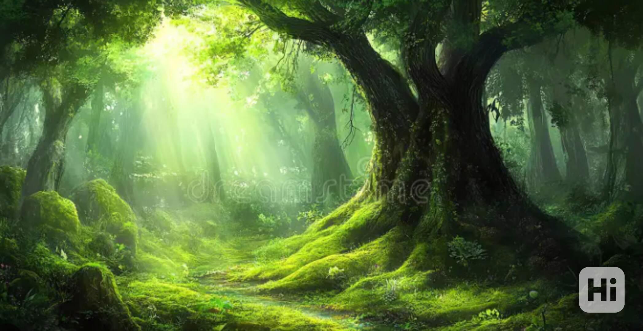 ftjhuklyhi,l - foto 1