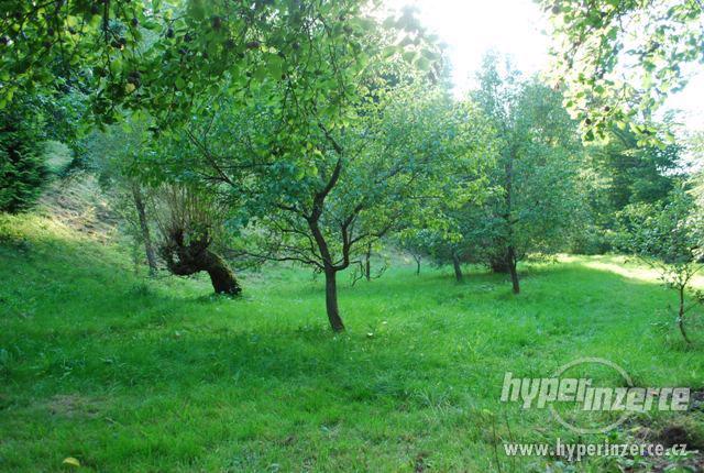 Prodám chalupu - Fojtka u Liberce, pozemek 8 313m2 - foto 26