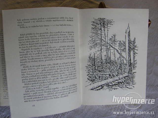Kniha z přírody - foto 5