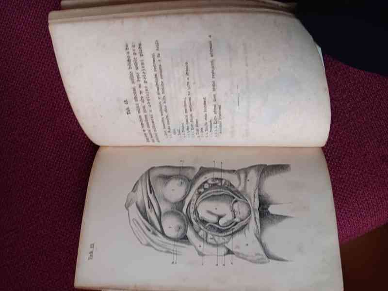 Kniha Babická 1859 - foto 2