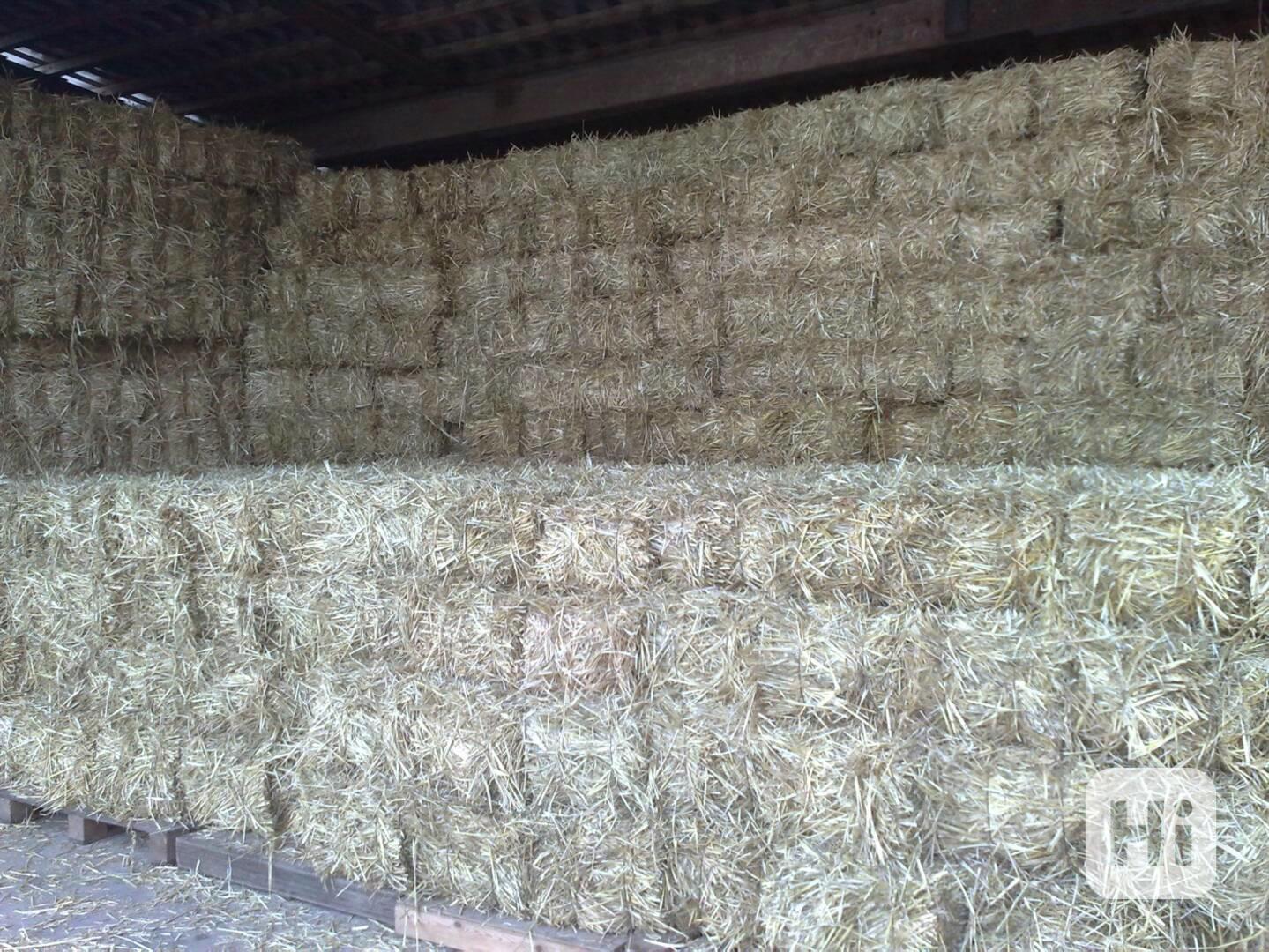 Kvalitní seno, malé hranaté balíky sena za cenu kulatých - foto 1