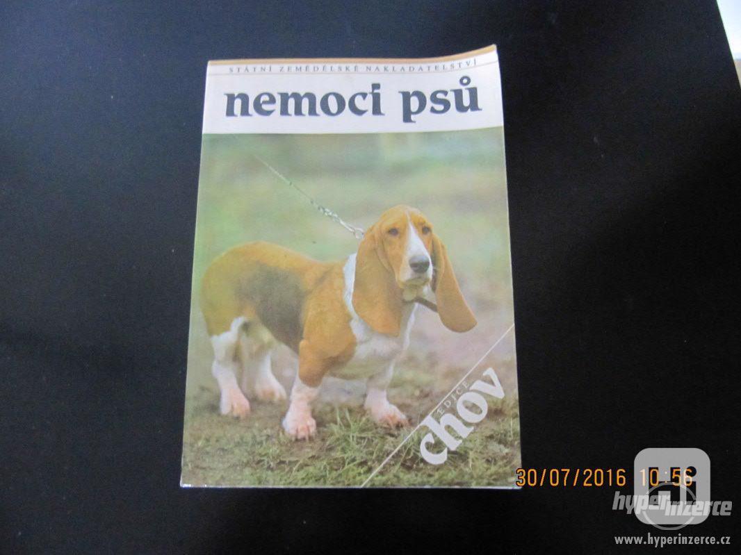 Kniha "Nemoci psů" - foto 1