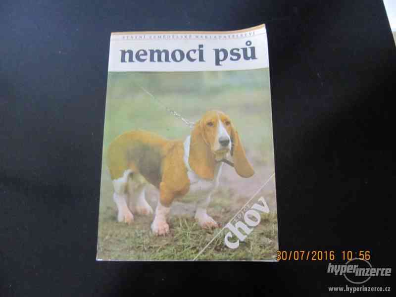 Kniha "Nemoci psů" - foto 1