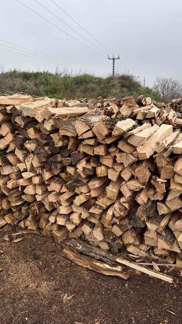 Palivové dřevo tvrdé - štípané metry - foto 4