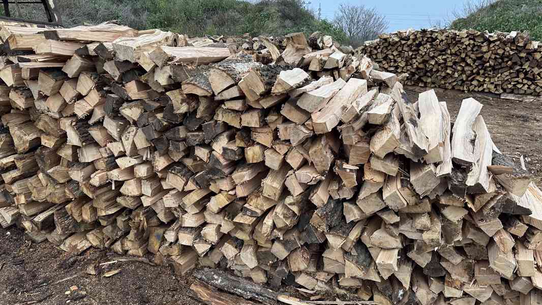 Palivové dřevo tvrdé - štípané metry - foto 3