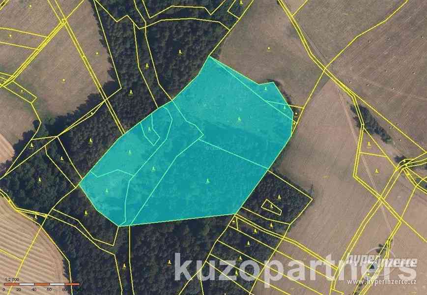 Prodej lesních pozemků v k.ú. Drozdov, okres Šumperk. - foto 2
