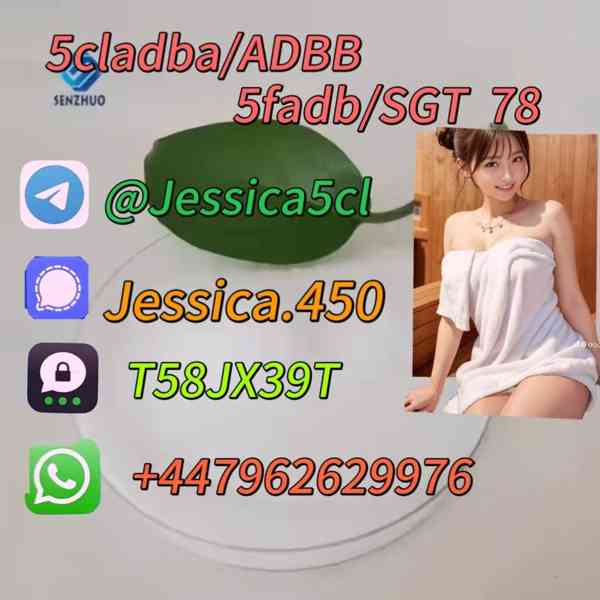 Strong 5cladba raw materials 5CL-ADB precursor powder suppli - foto 4
