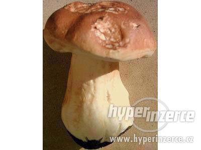 KRÁSNÁ IMITACE HŘIBU - foto 1
