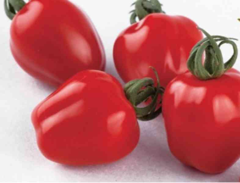 Sazenice rajče Appleberry F1 RED - foto 1