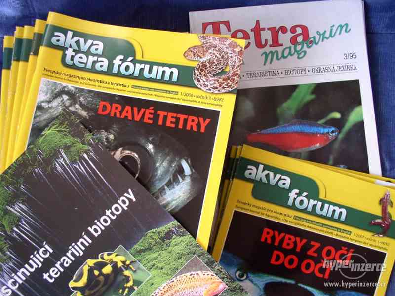 Akva tera fórum , Tetra magazín - foto 1
