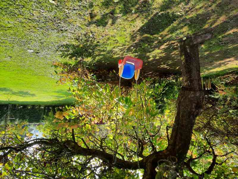 Krásná chata k pronájmu u řeky Sázavy 1/2 hodiny u Prahy - foto 8