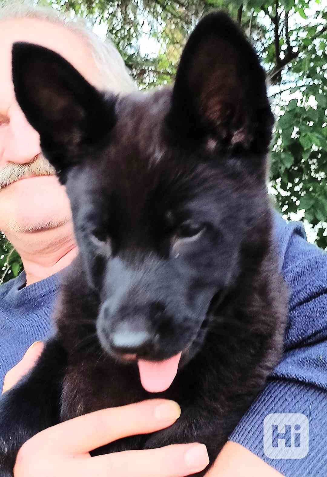 Fenka NO s PP - foto 1
