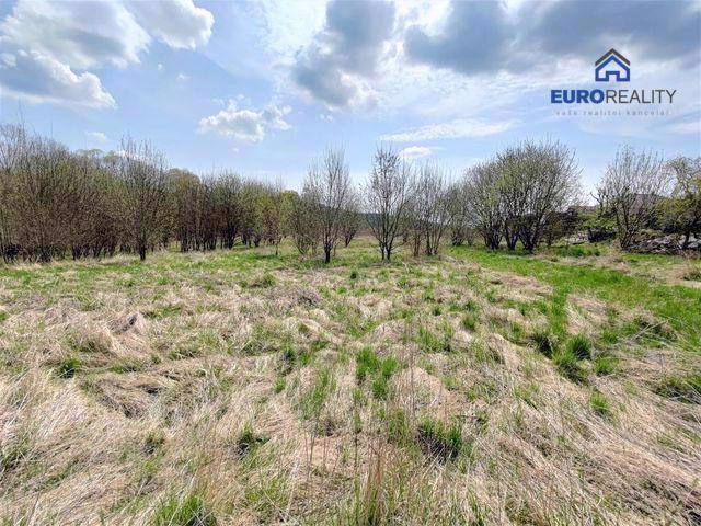 Prodej, stavební pozemek, 5800 m2, Planá u M. Lázní - foto 4