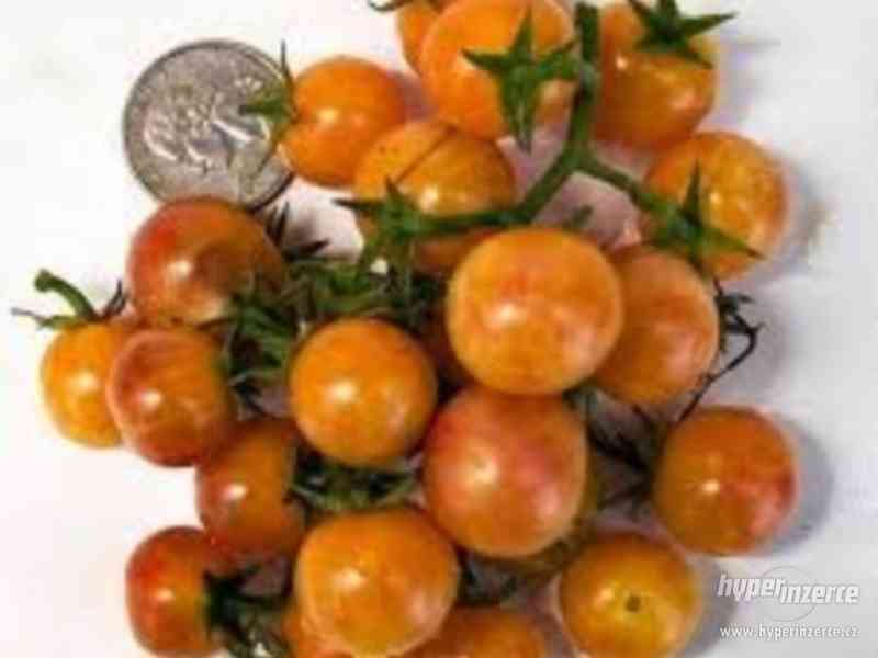 Rajče Bicolor cherry - semena - foto 1