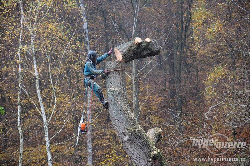 Rizikové kácení stromů Zlín - foto 1