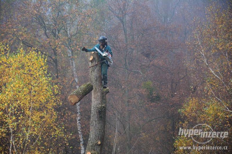 Rizikové kácení stromů Zlín - foto 2