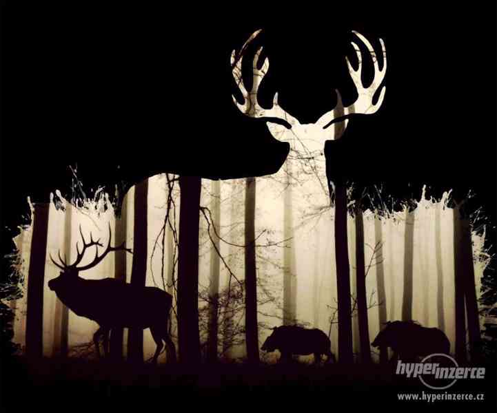 Jelen a divočáci - foto 2