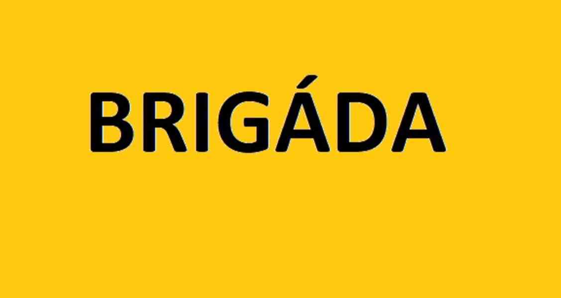 Brigáda pro studentku - foto 1