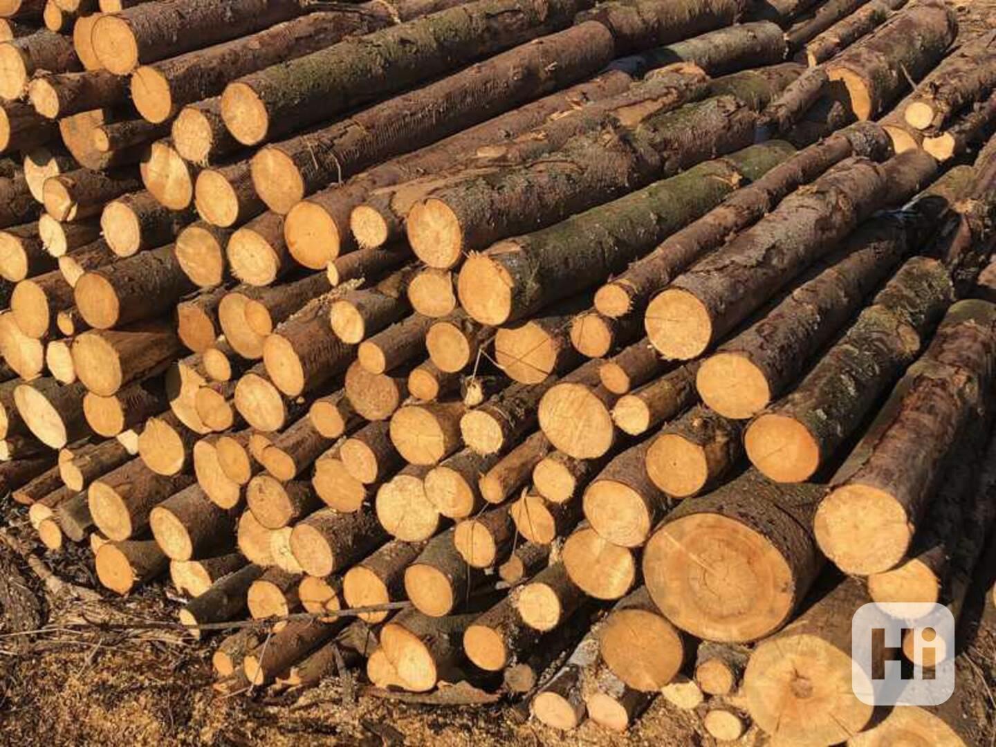 Palivové dřevo  - foto 1