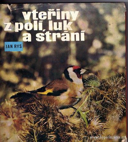 Vteřiny z polí, luk a strání - Jan Rys - 1973 - foto 1