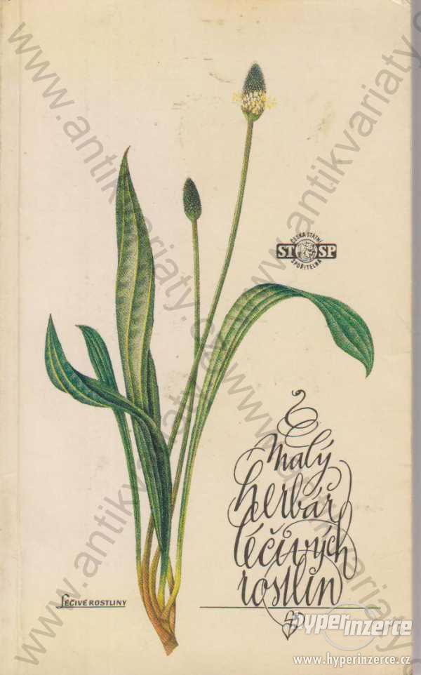 Malý herbář léčivých rostlin Ludmila Černý 1984 - foto 1