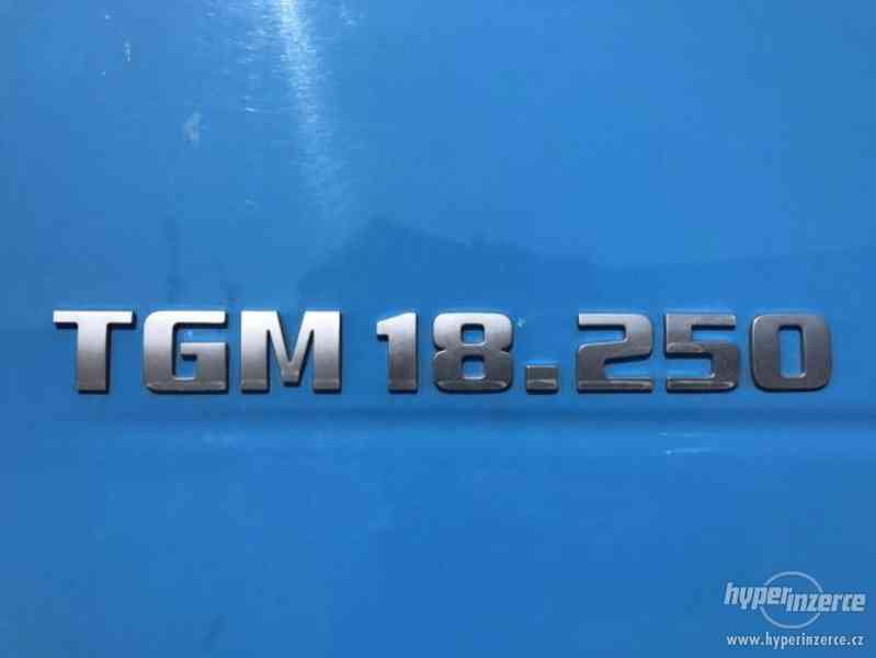 MAN TGM 18.250-EEV-2009-Nosič CTS -10 tun-FASSI 85B22 - foto 8