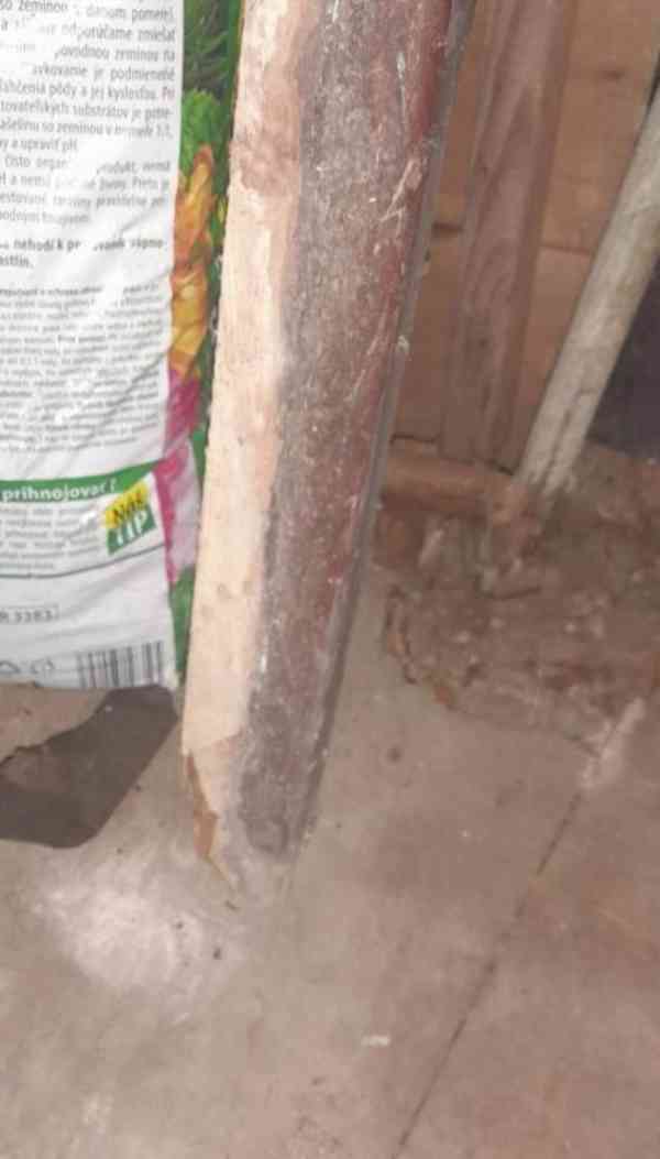 Staré dveře z jedné strany palubky vč. zárubně-výplň dvojité - foto 4