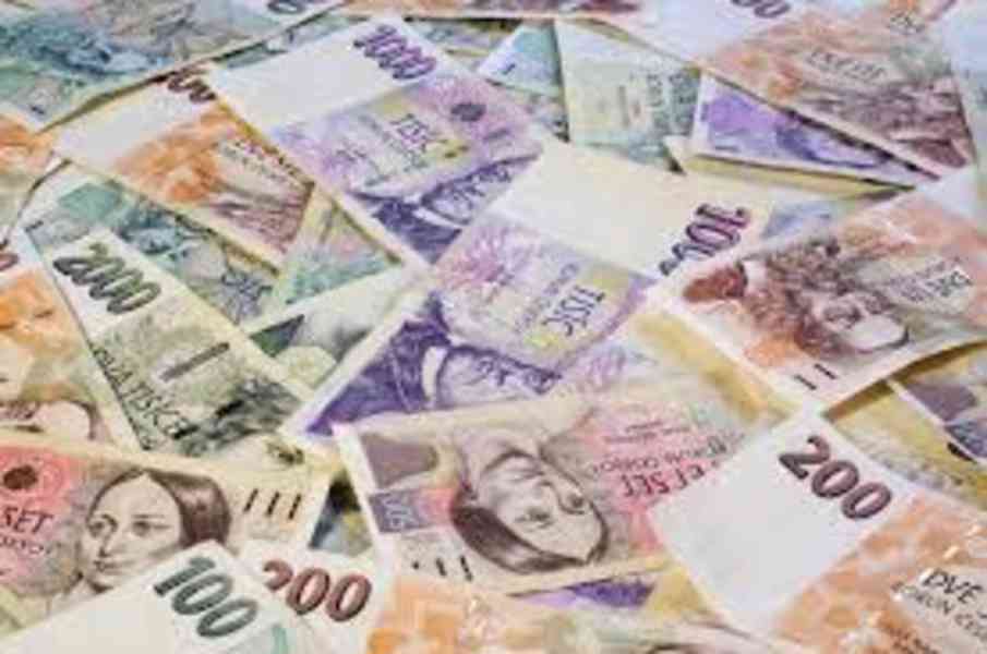 MEZERA PAVEL - foto 1