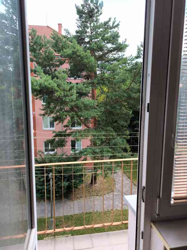 Byt 2+1 Přerov, ul.Purkyňova - foto 3