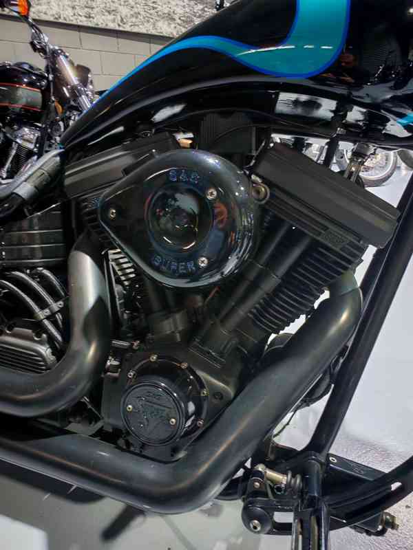 Harley Davidson Special Walz Hardcore chasis dragstyle. S&S - foto 3