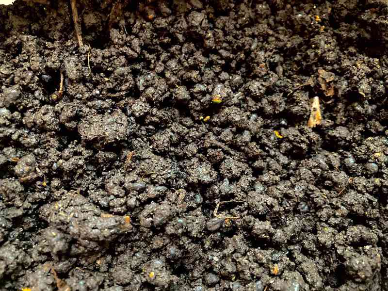 Startovací substrát pro založení žížalího chovu - foto 2