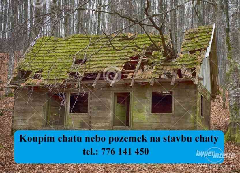 Koupím chatu nebo pozemek na stavbu chaty - foto 1