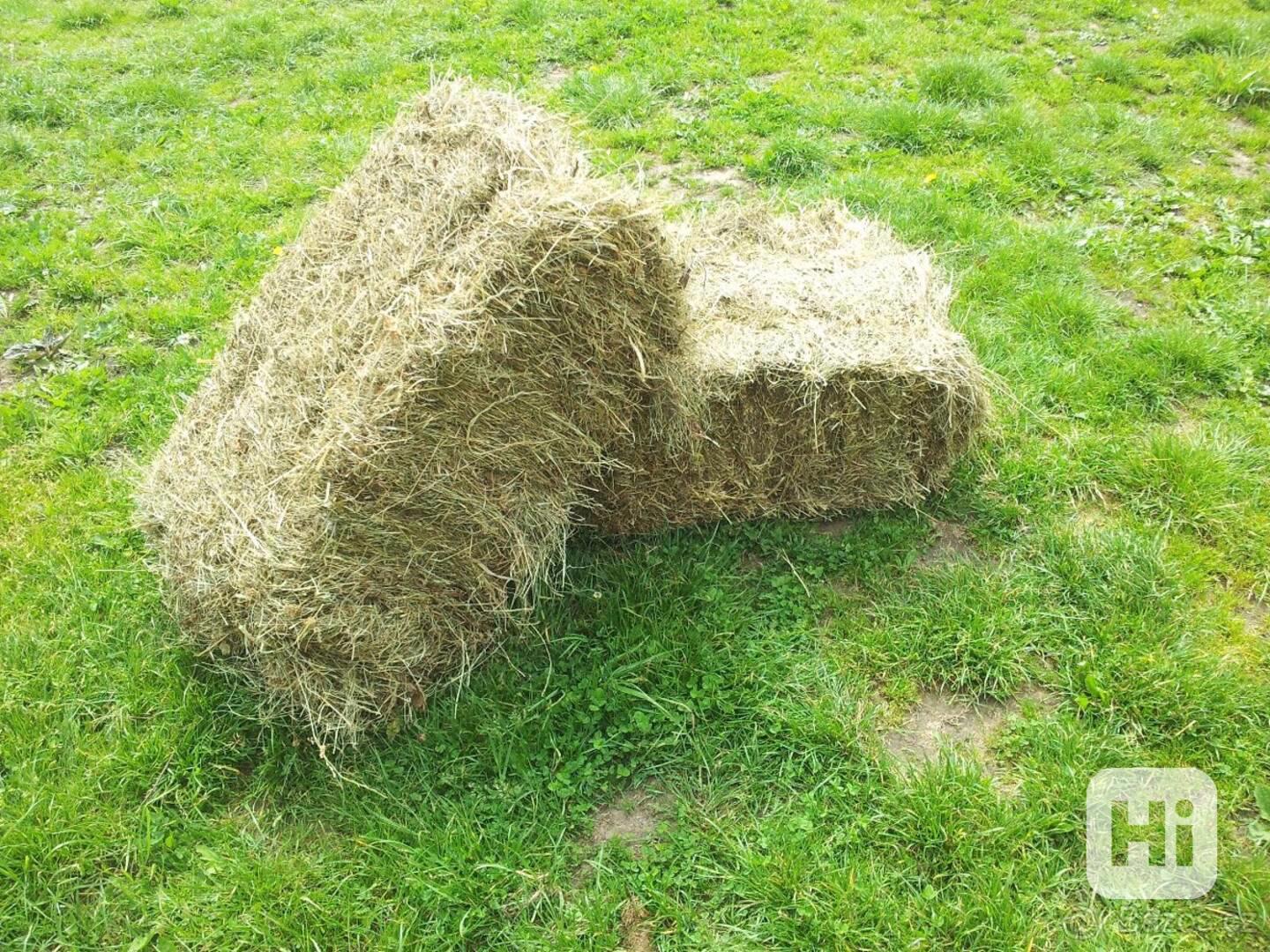 Prodám malé hranaté balíky  sena - foto 1