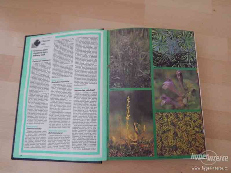 Časopis Naší přírodou - svazek - foto 2